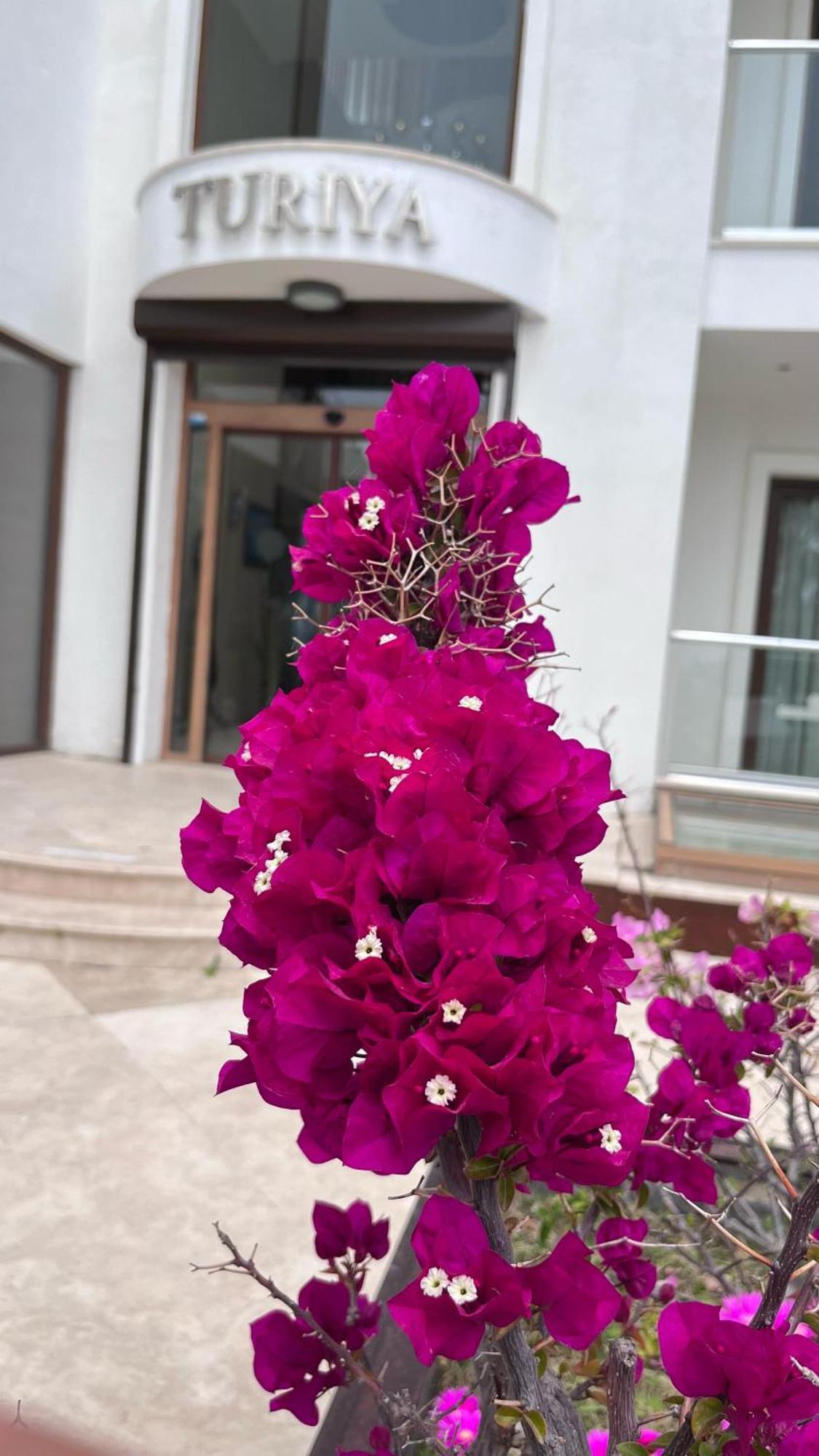 Hotel Turiya Turgutreis Exterior foto